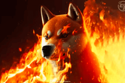 Bonk Price Surges 25% On Solana After Token Burn Proposal