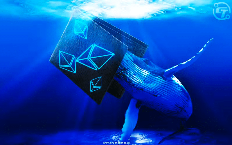 Dormant Ethereum Ico Wallet With $3.4M Awakens After 9 Years