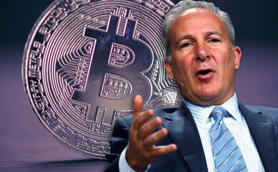 Peter Schiff Slams Rfk Jr.'S Bitcoin Reserve Plan As 'Vote-Buying' Tactic