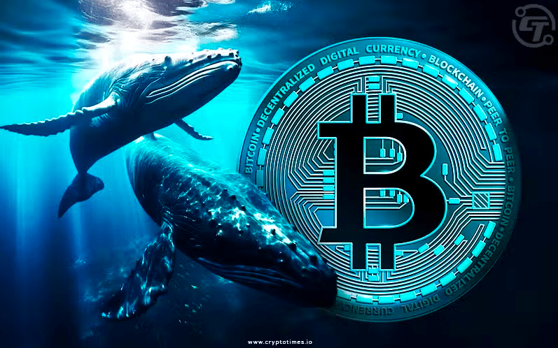Two Whales Deposit 9,500 Btc To Binance Since June 27