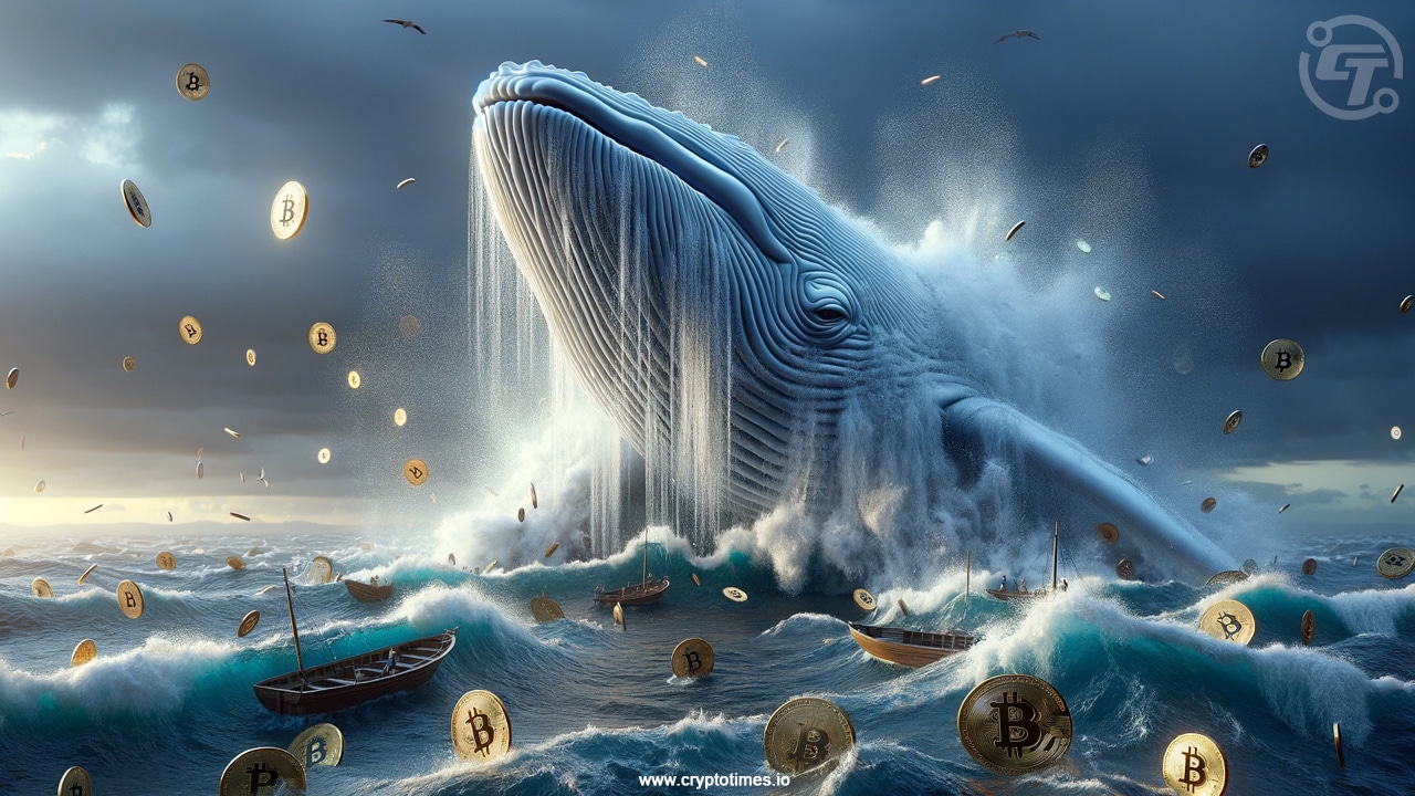 Bitcoin Whales Buy 84000 Btc In July 2024 Highest In Decade