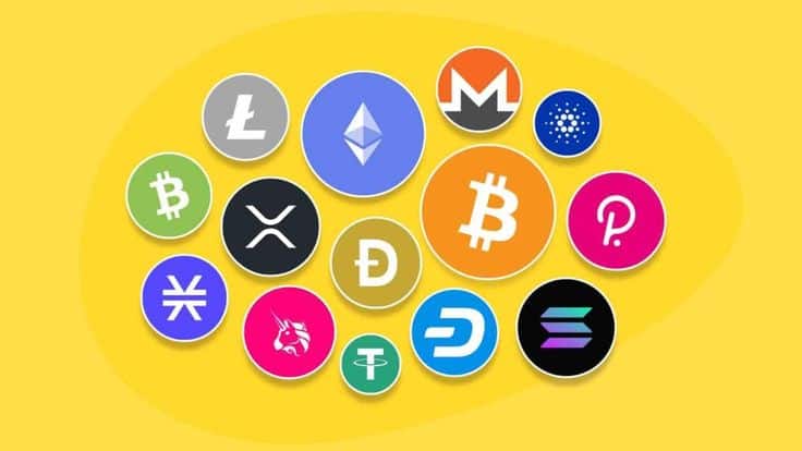 Crypto Whales Are Gearing Up For Altcoin Surge: Cryptoquant Founder