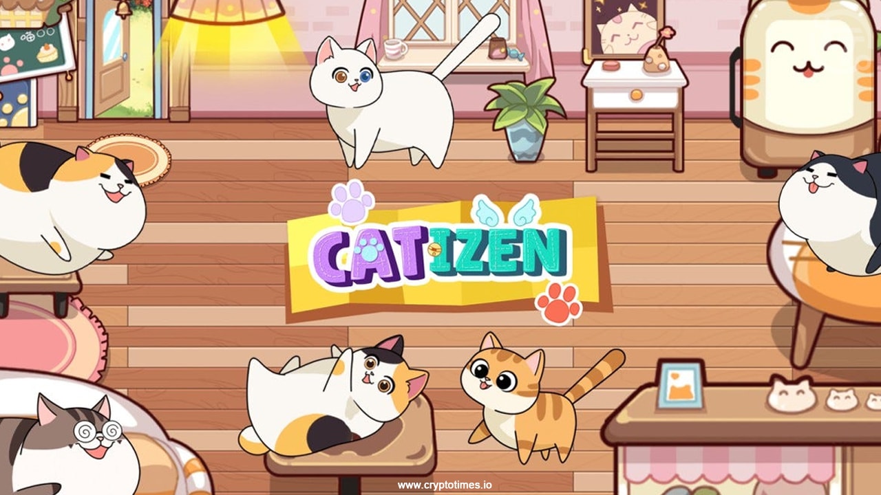 Guide To Catizen Play &Amp; Win Cati Tokens In Airdrop