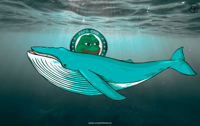 Pepe Whale Dumps 330B Tokens At Kraken &Amp; Still Holds 1T Pepe