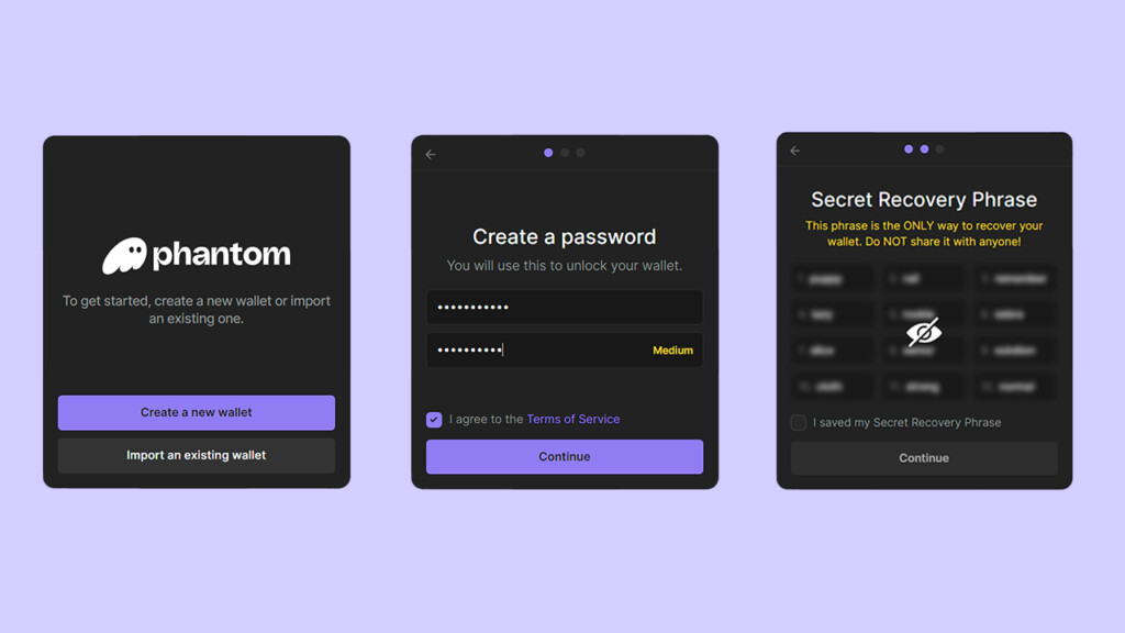 How To Use Phantom Wallet