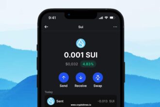 Sui Wallet: Detailed Review & Complete Guide On How To Use It