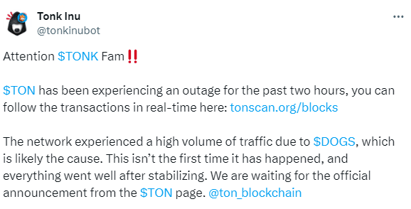 Ton Network Faces Three-Hour Outage &Amp; Halts New Transactions