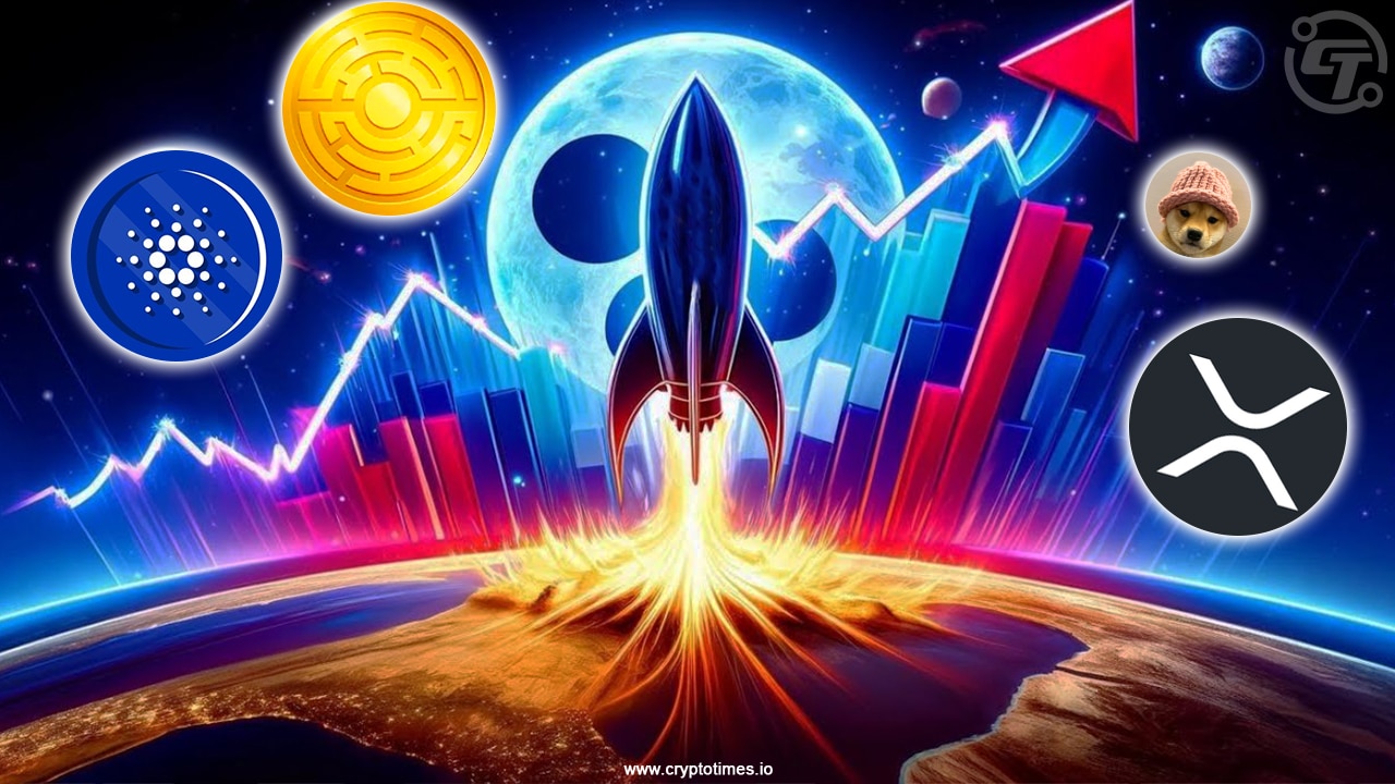 Top Cryptocurrencies For Budget Growth: Ada, Xrp, Wif &Amp; Mtaur
