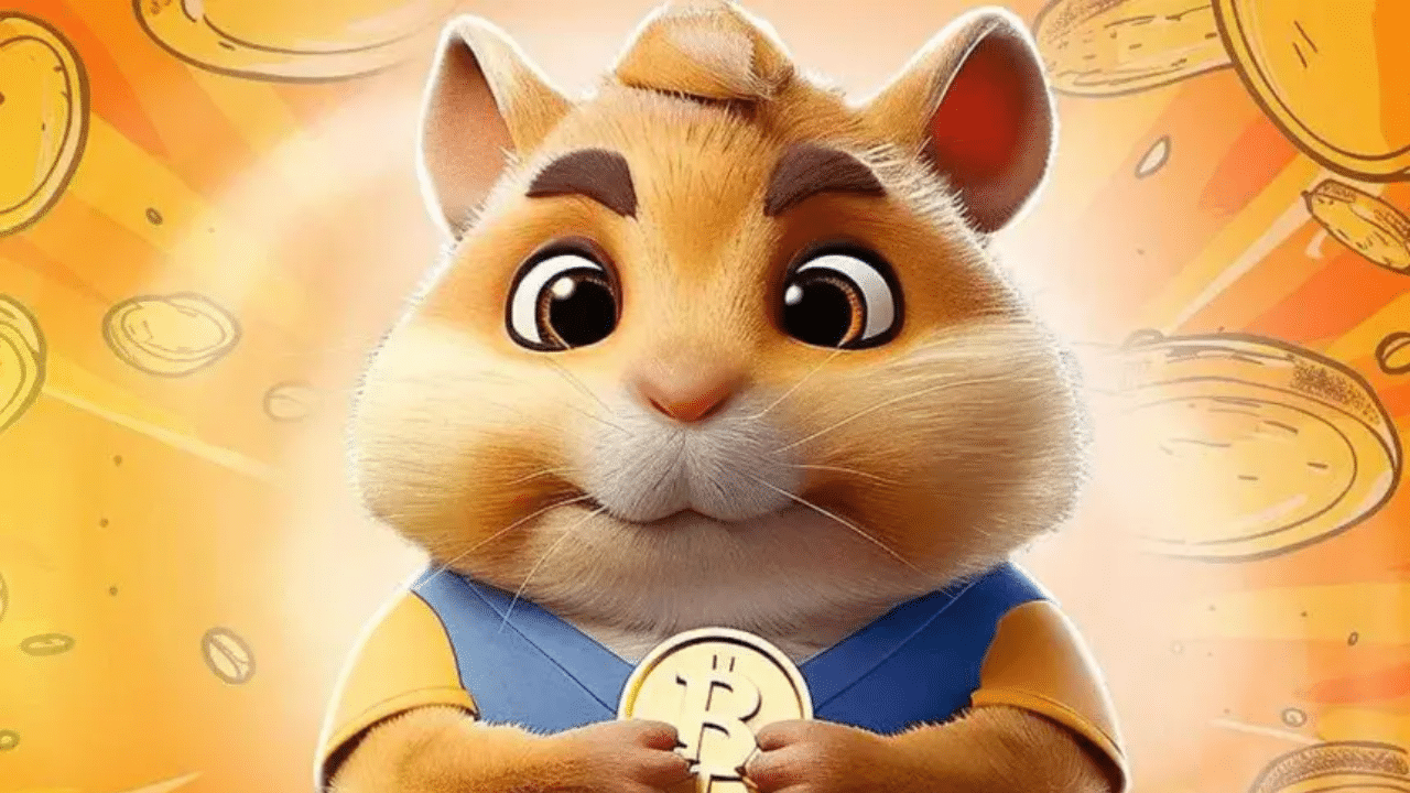 Hamster Kombat September 11 Daily Combo Card &Amp; Cipher Code
