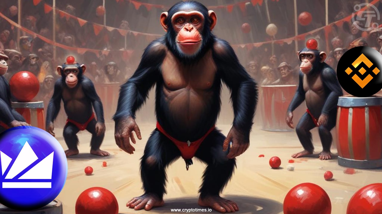 Binance Says Not Our Circus Not Our Monkeys To Wazirx Users