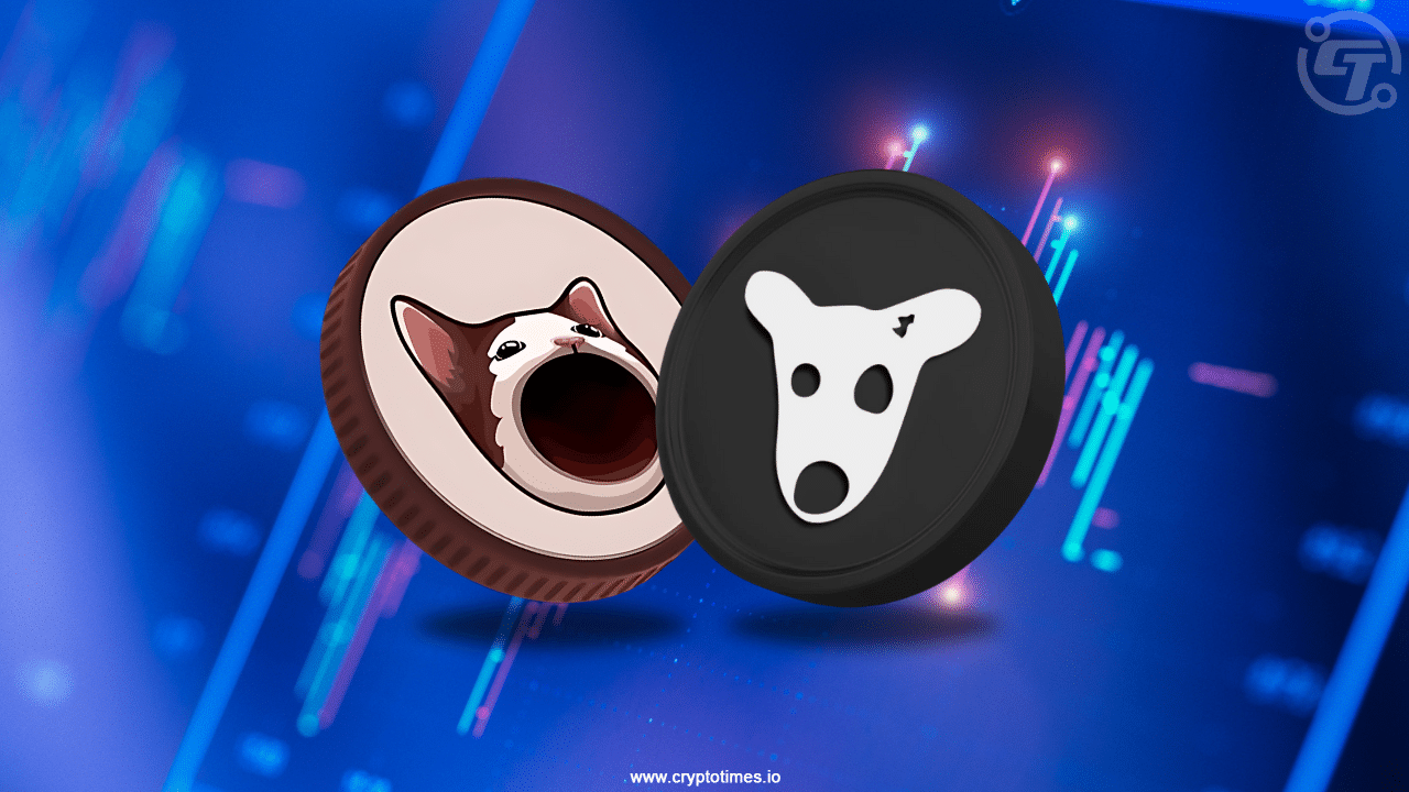 Popcat And Dogs Surges As Bitcoin Climbs To $56K
