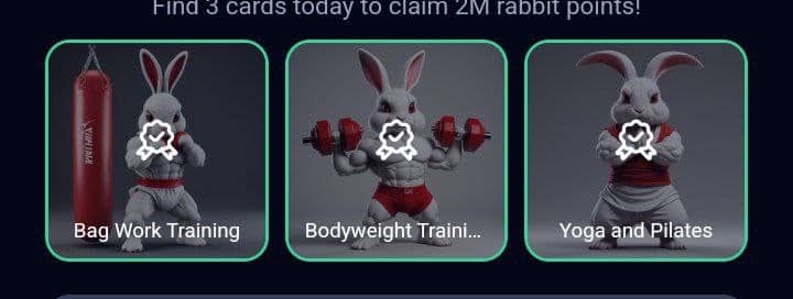 Rocky Rabbit SuperSet Combo