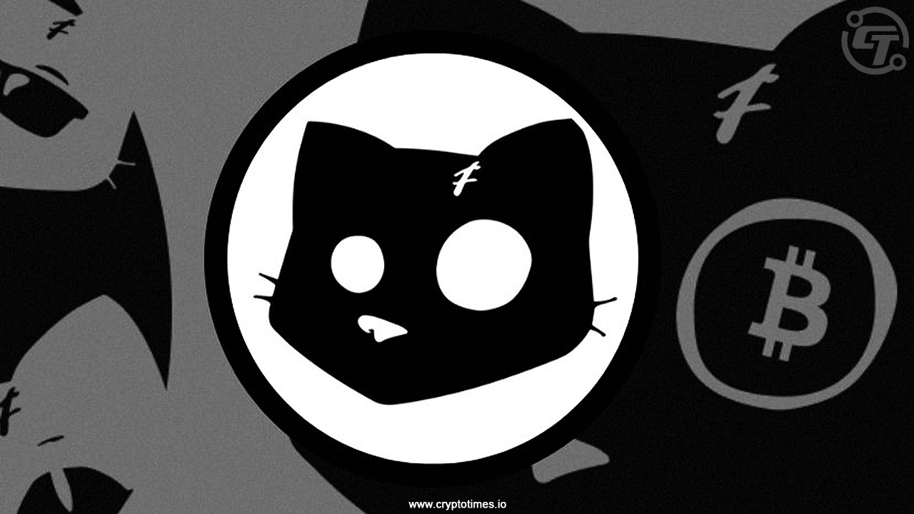 Cats Game Season 2 Launch Here’s What’s New