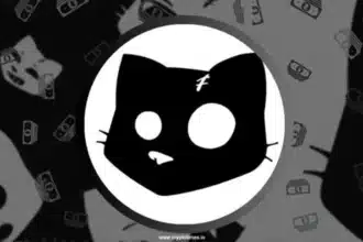 Cats Youtube Code For October 11, 2024