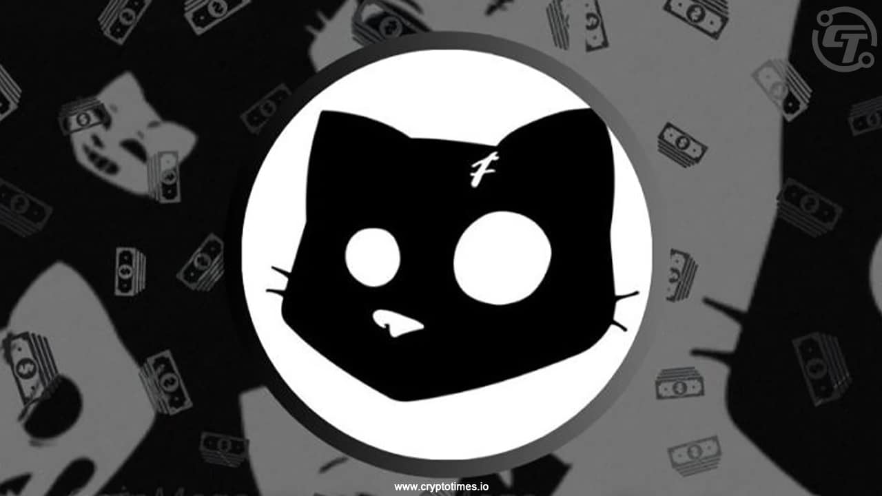 Cats Youtube Code For October 10 2024