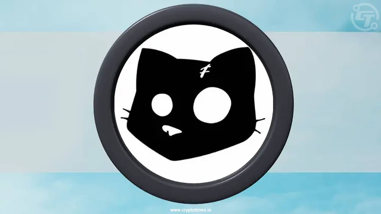 Cats Youtube Code For October 15, 2024