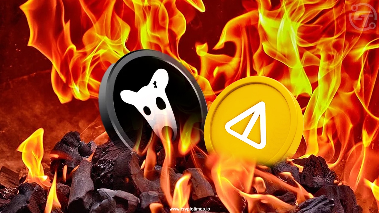 $Dogs And $Not Prepare For Joint Token Burn On October 9