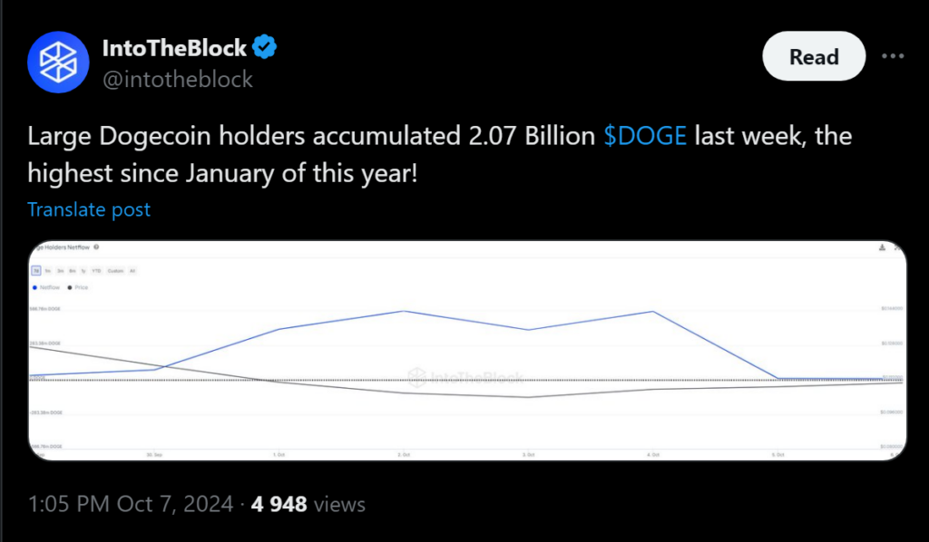 Whales Bought 2 Billion Doge In 1 Week! Is New Ath Next? 2 Dogecoin Holders Accumulated 2.07 Billion Doge