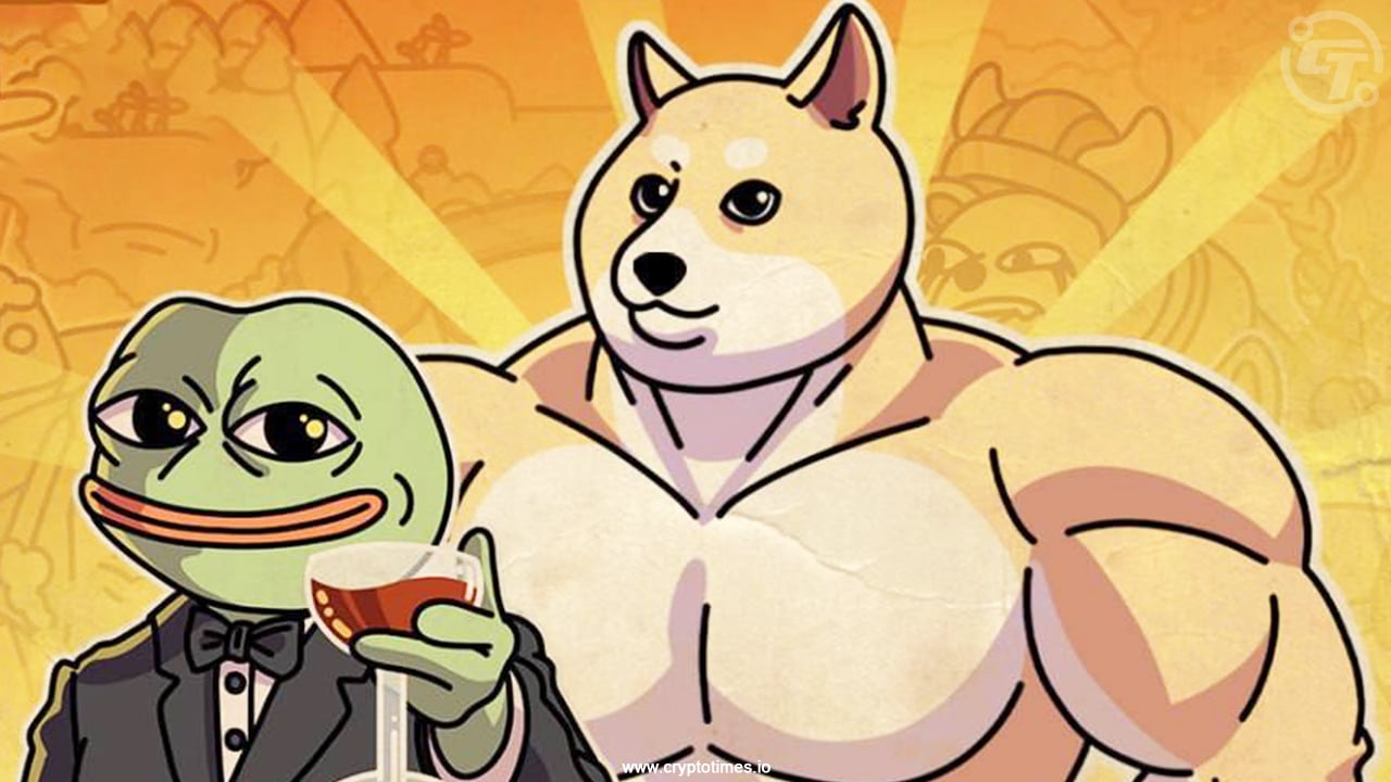 Memefi October 23: Secret Tap Combo And Video Codes