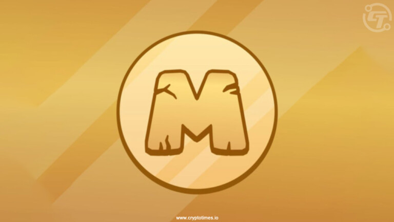 MemeFi October 24: Secret Tap Combo and Video Codes