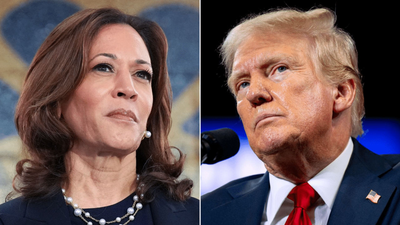 Traditional Polls Vs. Prediction Markets: Who'S Winning 2024?