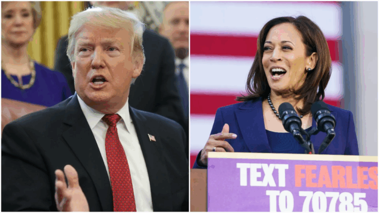 Trump Leads Harris by 12% Post-Rally with Elon Musk