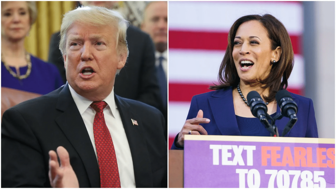 Trump Leads Harris By 12% Post-Rally With Elon Musk