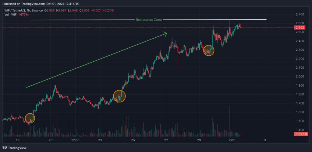 October’s Hot Picks: Mtaur, Ada, Sui, &Amp; Wif Ready For Action 6 Wif Price Analysis Chart