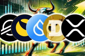 5 Biggest Gainer Altcoins In November Bull Run