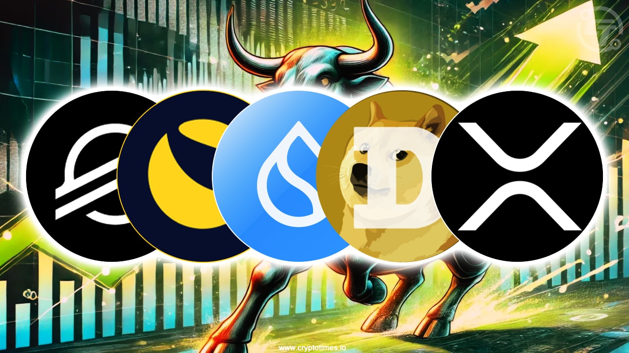 5 Biggest Gainer Altcoins In November Bull Run
