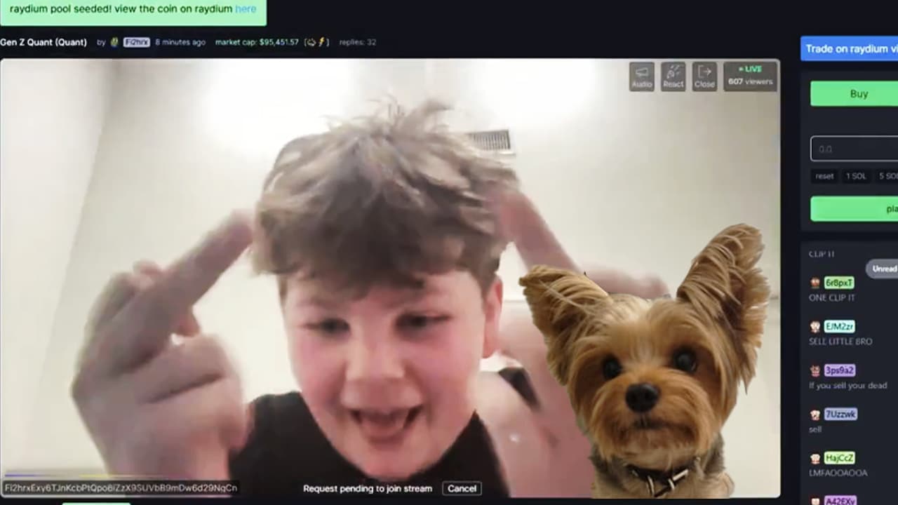 Quant Kid'S Dog Stolen After Rug Pull, Kidnapper Launches $Bari
