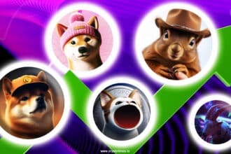These 5 Solana Memecoins Are 2024 Bull Run'S Biggest Gainers