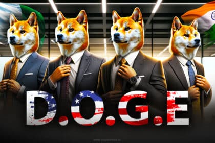 Can India And Nigeria Get Inspired From D.o.g.e. Project.