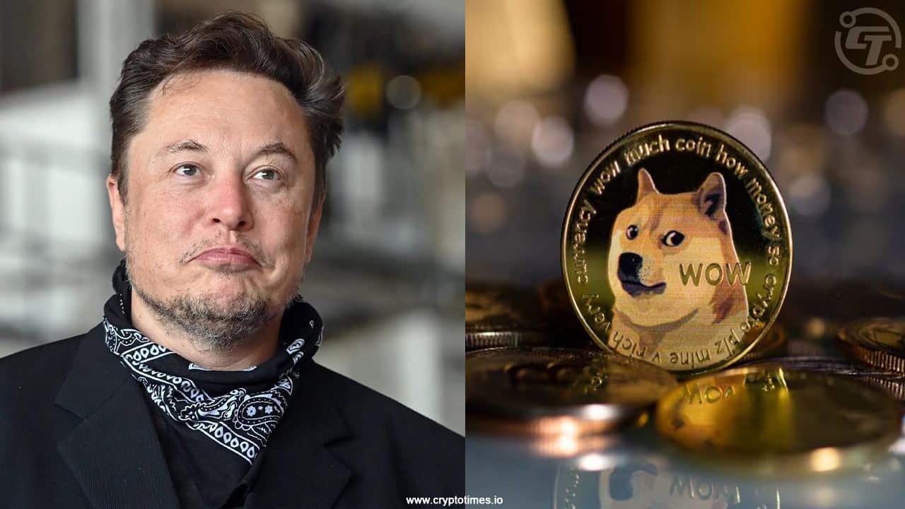Dogecoin Investors Drop Lawsuit Against Elon Musk