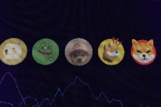 Internet Jokes To Billion-Dollar Sector, Exploring Memecoins
