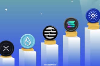Next Big Crypto To Explode In 2024 &Amp; 2025