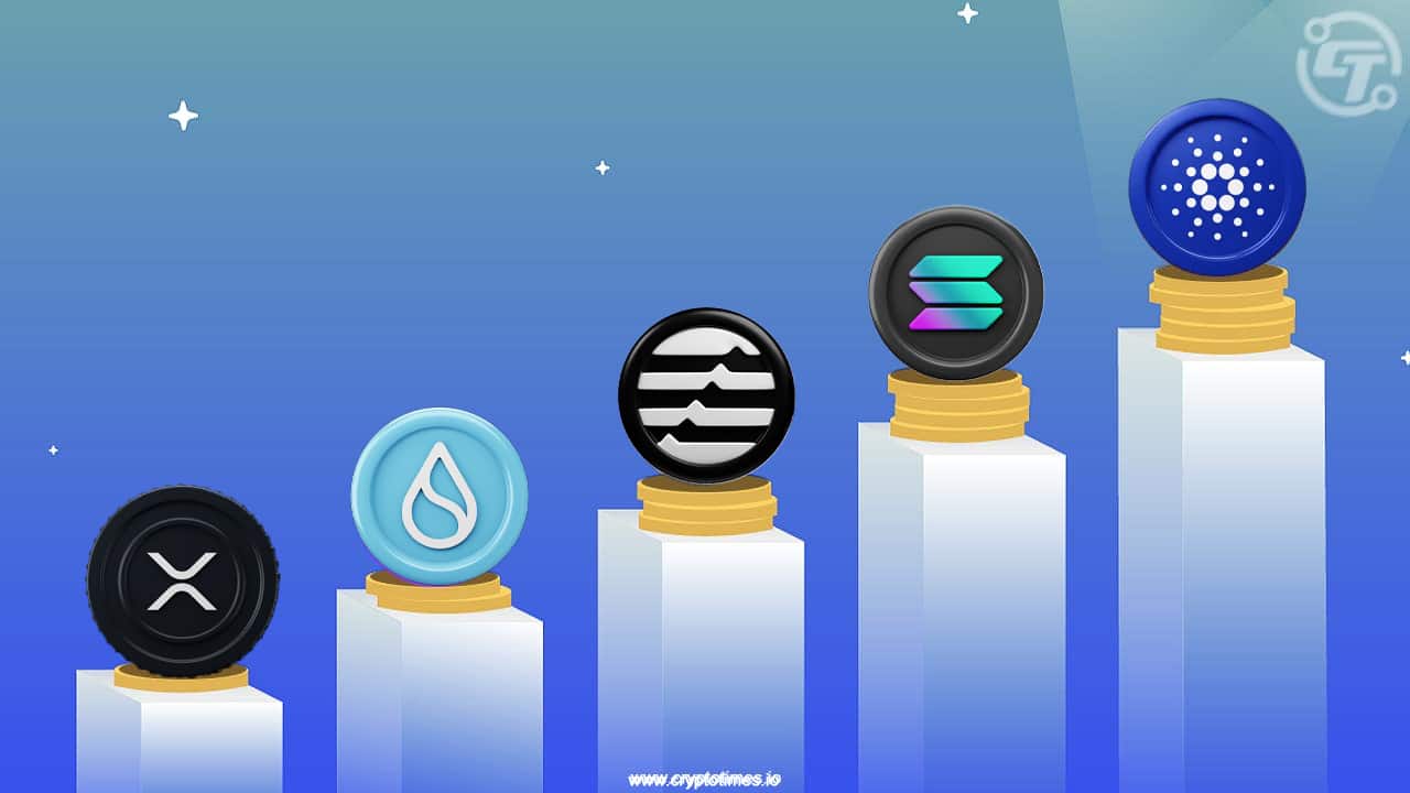Next Big Crypto To Explode In 2024 &Amp; 2025