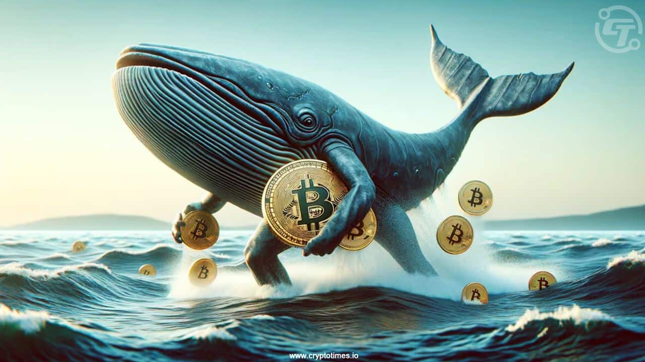 Og Bitcoin Whale Moves 2,000 Btc Worth $178M To Coinbase
