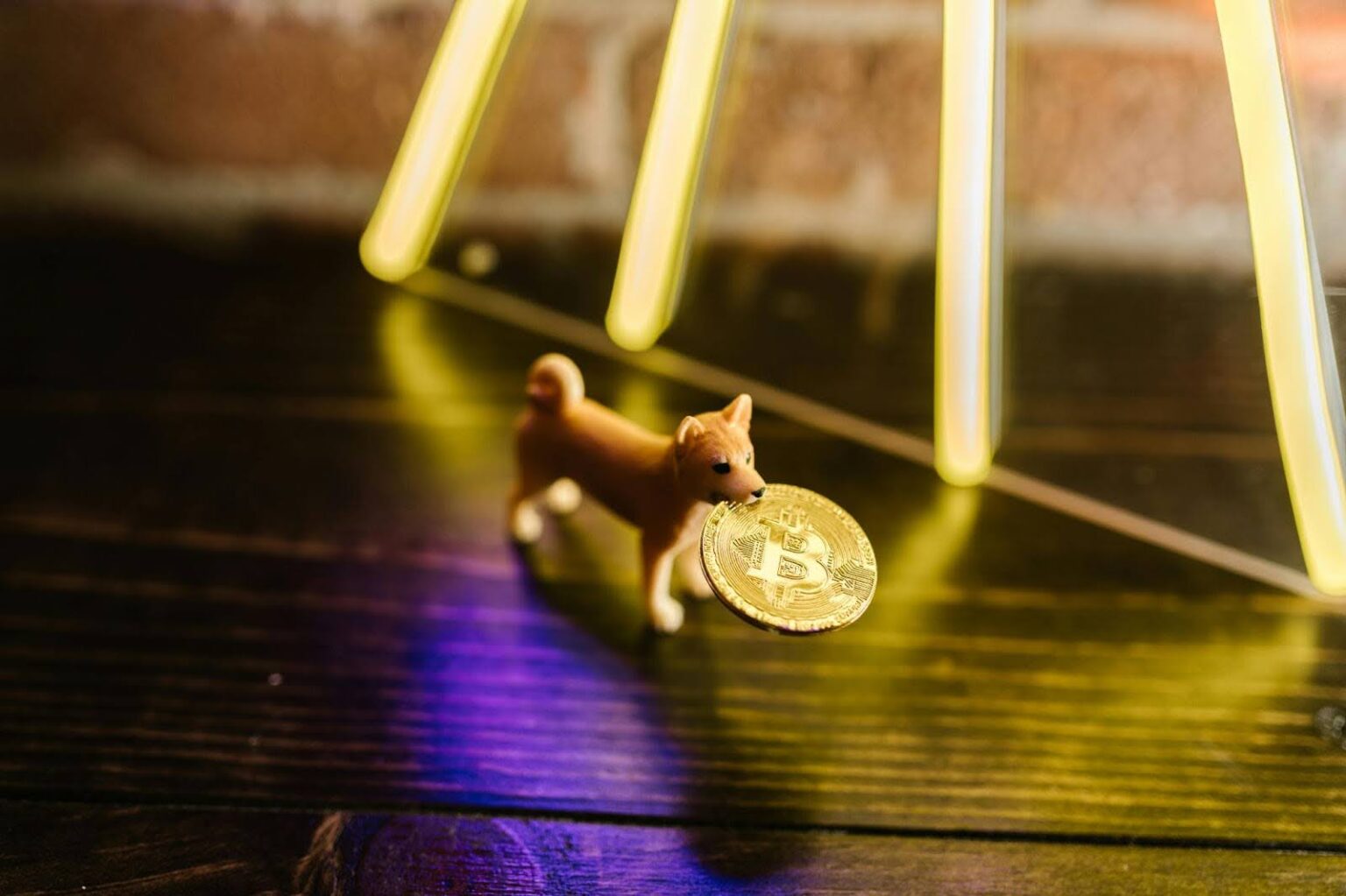 Shiba Inu Eyes $100B Cap, Low-Cap Meme Coins Set For Growth