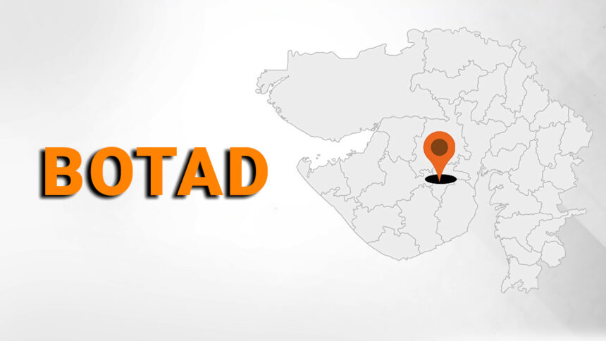 Botad Is City In Gujarat That Has Emerged In The Top 10 Crypto Investors Cities In India.