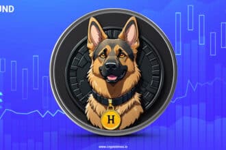 Hund Token Price Surge 46%: Is This The Next Big Crypto?