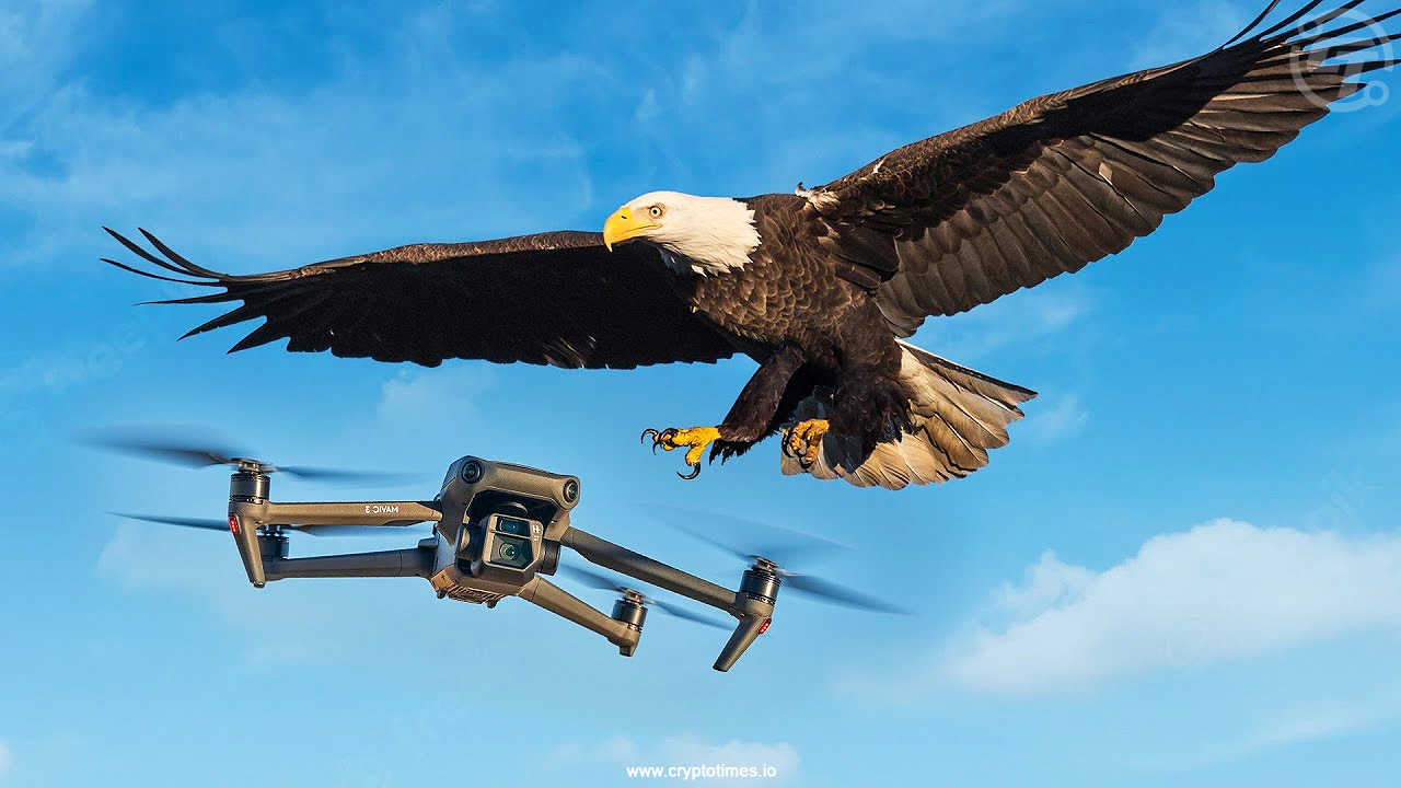 Police In India Have Started Training Eagles To Hunt Drones