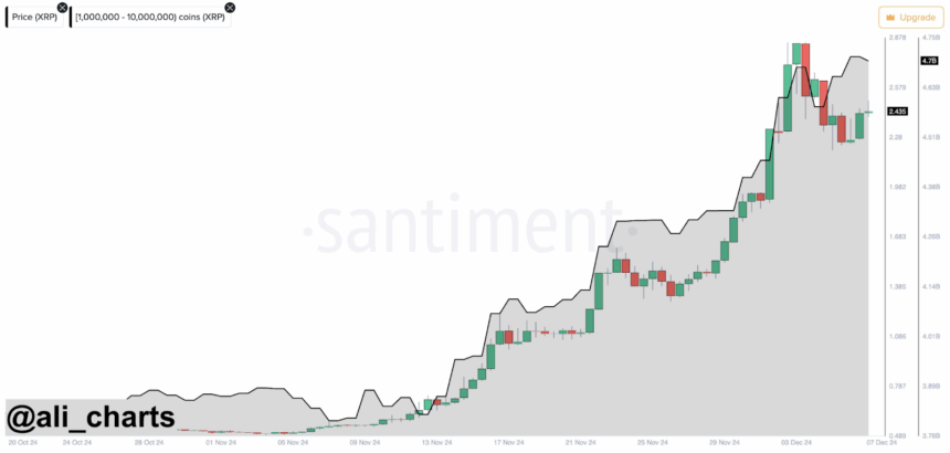 Martinez confirms 120 million XRP whale purchase during market dip