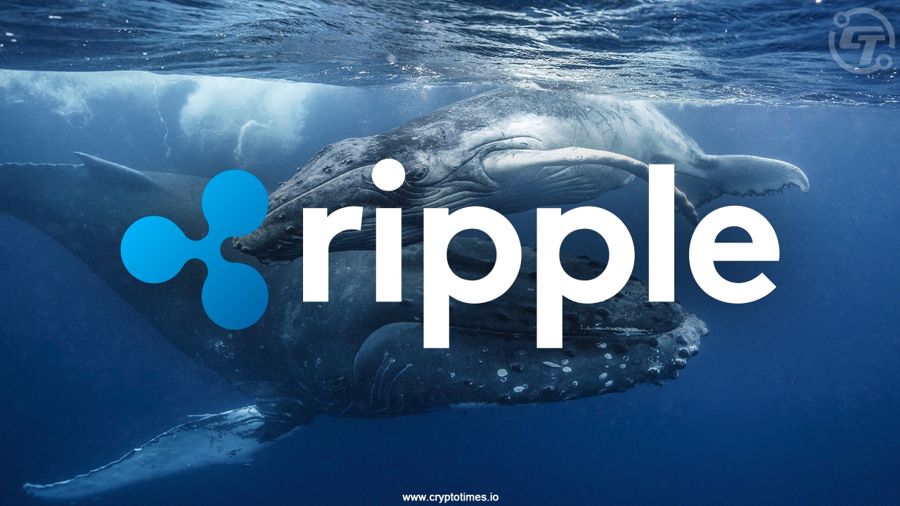 Ripple Whales Buys 120M XRP During Recent Market Pullback