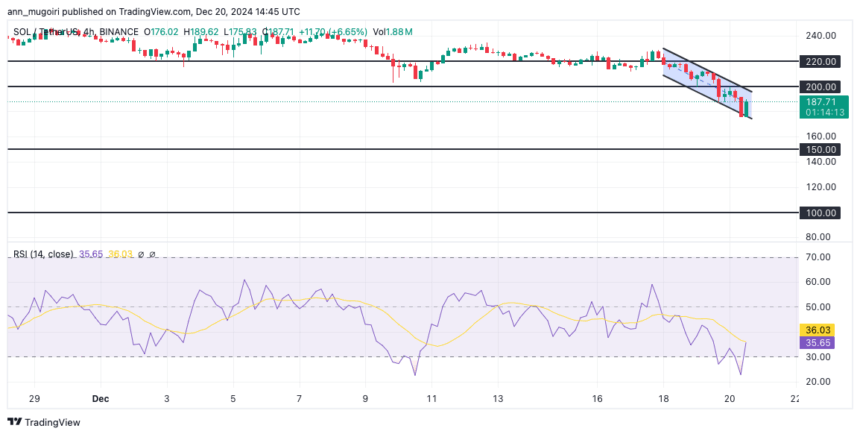Will Solana Fall Hard To $100 After Going Below The Support Of $200? 2 Solana Price Chart