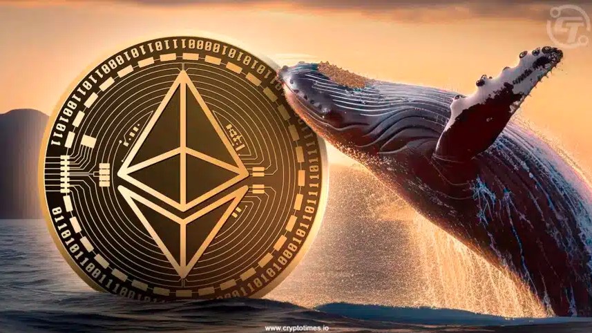 Whale Transfers $17M Eth To Binance Amid Sell-Off Wave