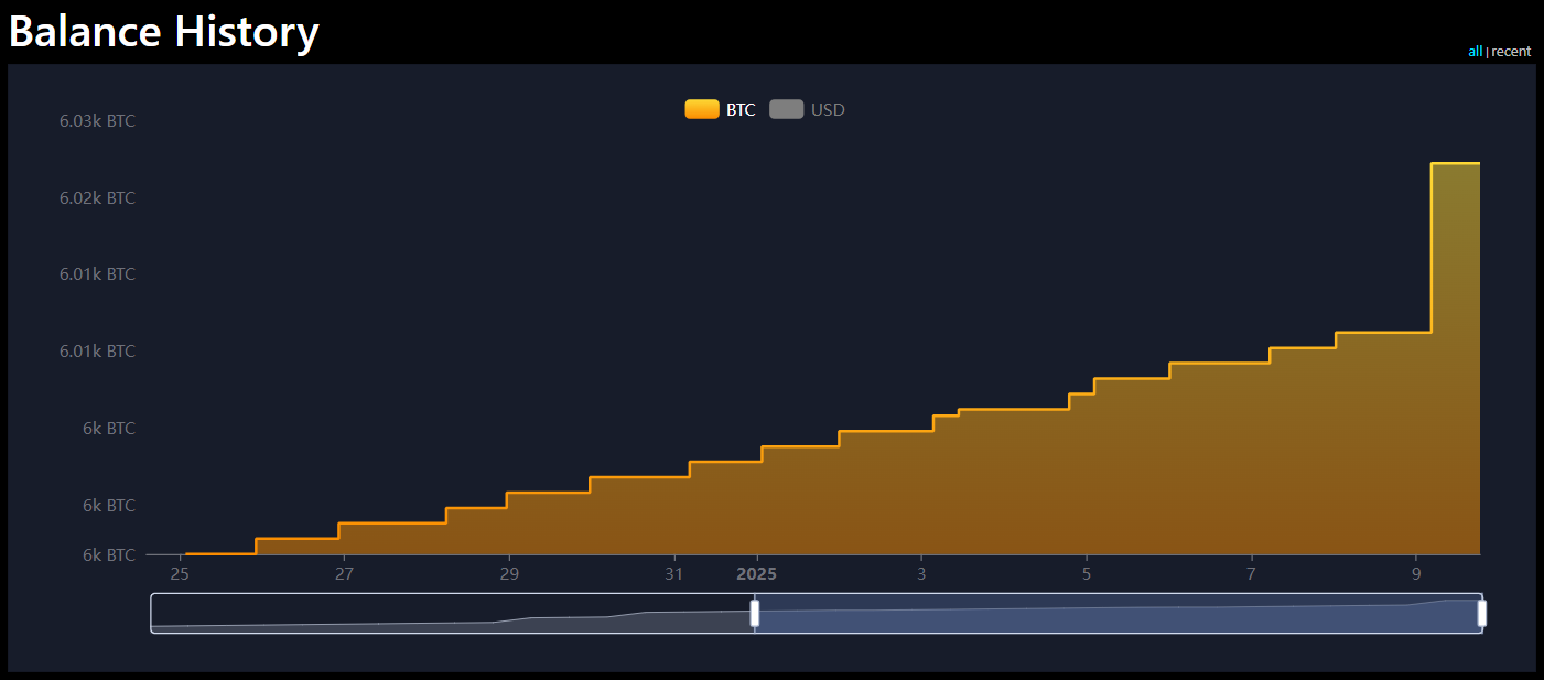 El Salvador’s Bitcoin Purchase History
