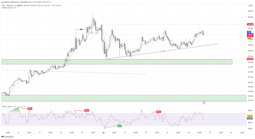 Solusdt 1-Hour Price Chart