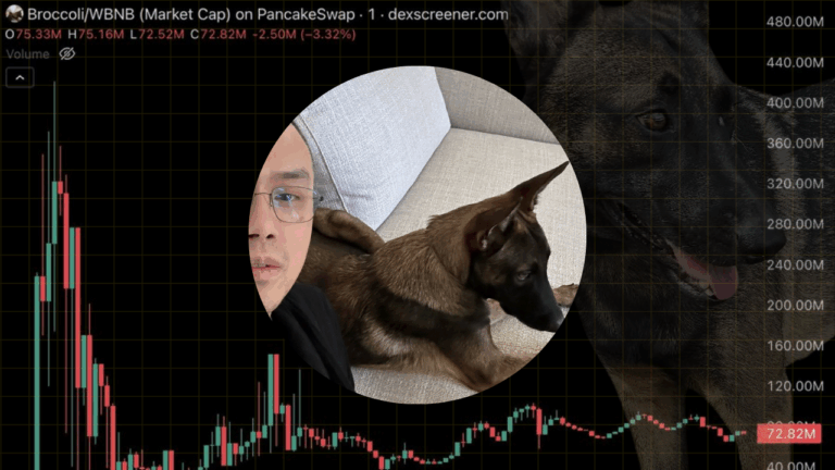 CZ's Dog Broccoli Memecoin Spikes to $400M in Market Cap