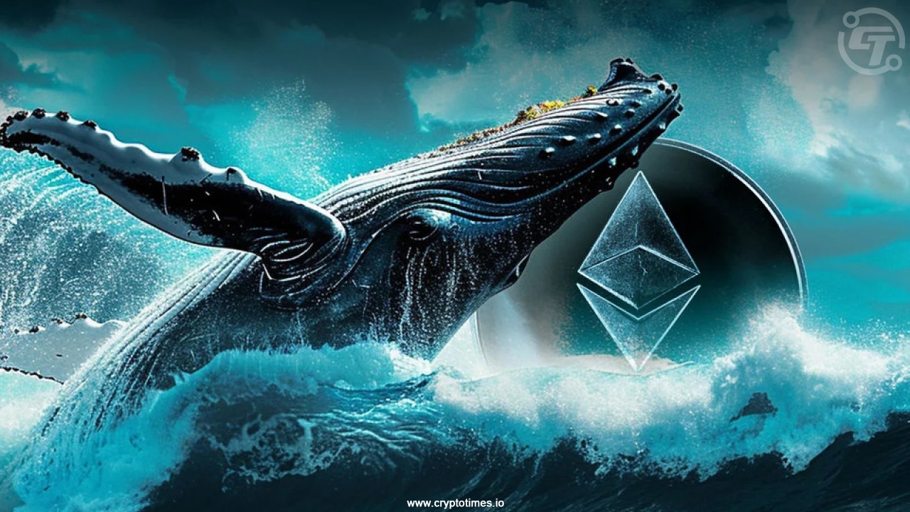 Ethereum Whale &Quot;7 Siblings&Quot; Buys $28.75M Eth Amid Market Crash